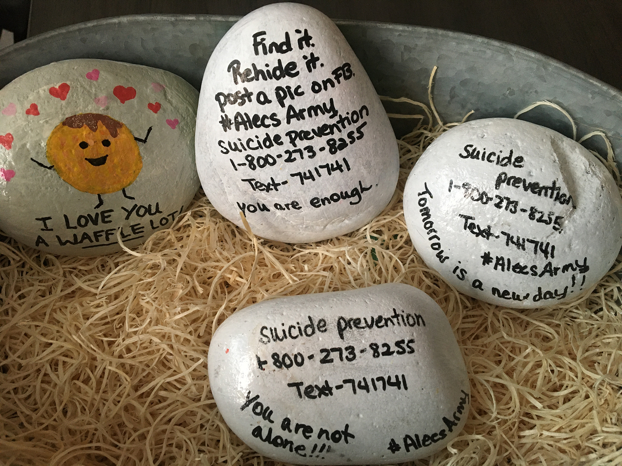 Spending quarantine time painting rocks. : r/crafts