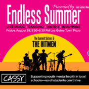 Bright pink Endless Summer concert poster with a yellow sunset arc and black band silhouettes; sponsors Star One, El Camino Health, and CASSY are displayed on the poster.